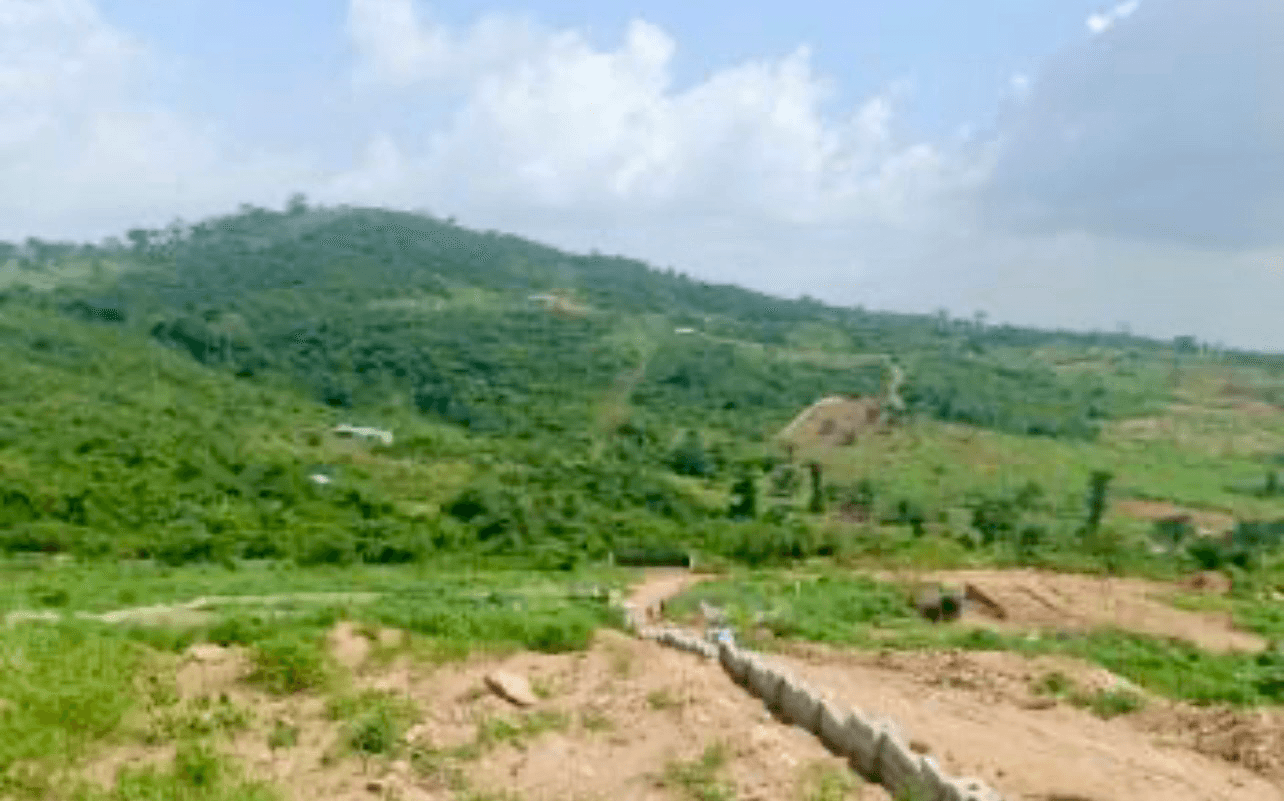 Land at Adamrobe